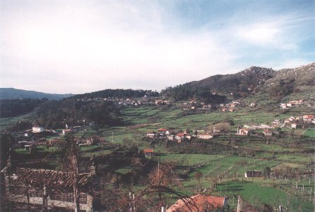 Zonas Verdejantes