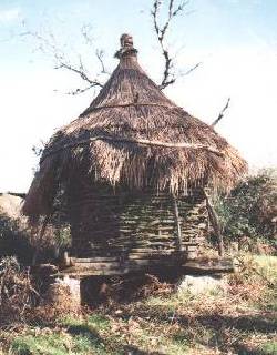 Cani&ccedil;o