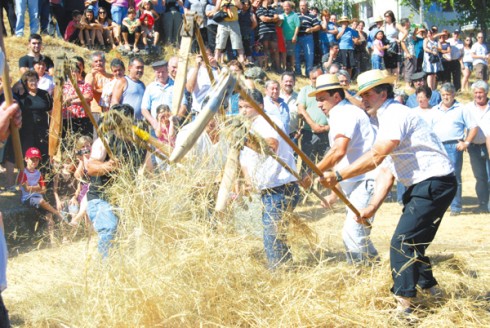 Malhada de Centeio